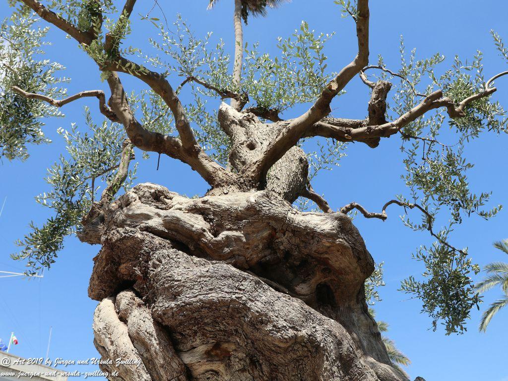 Brindisi in Apulien - Italien