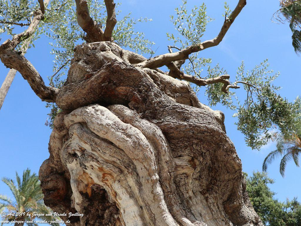 Brindisi in Apulien - Italien