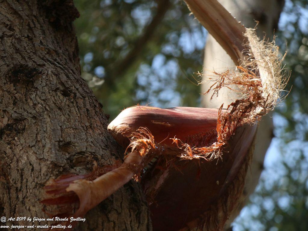 Brindisi in Apulien - Italien