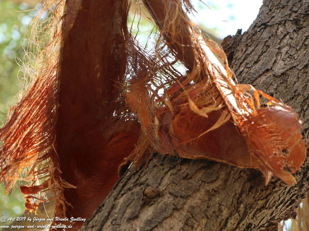 Brindisi in Apulien - Italien