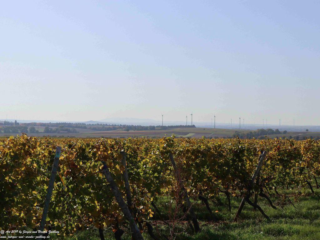 Philosophische Bildwanderung Von Nierstein zur Niersteinerwarte und zur Schwabsburg