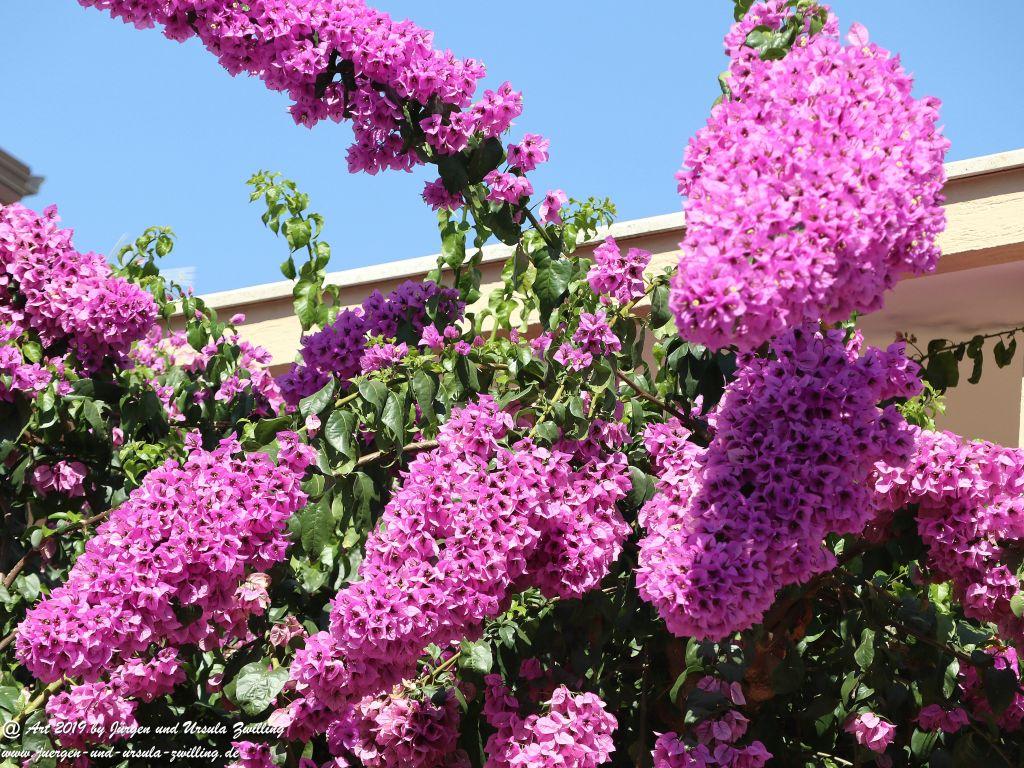 Alberobello in Apulien - Italien