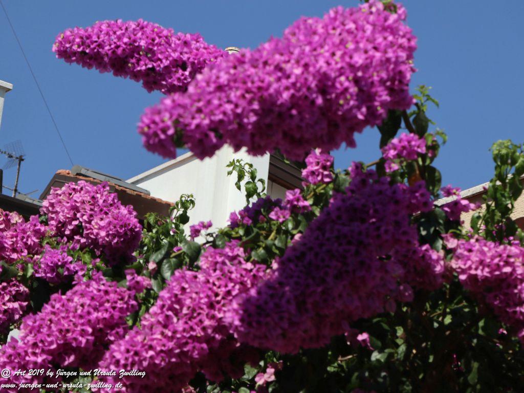 Alberobello in Apulien - Italien
