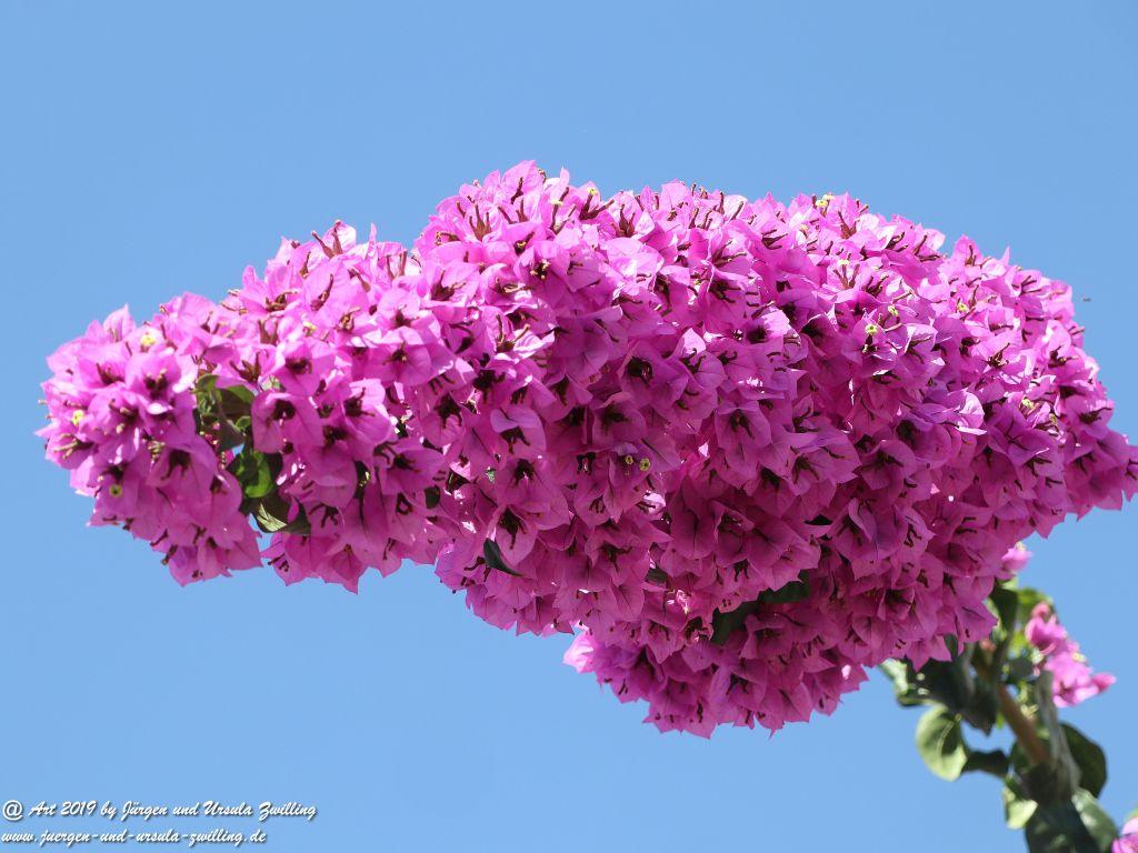 Alberobello in Apulien - Italien