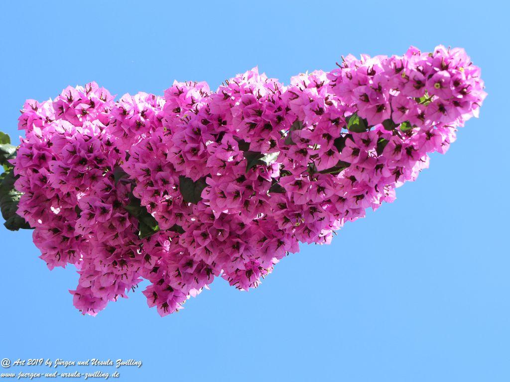 Alberobello in Apulien - Italien