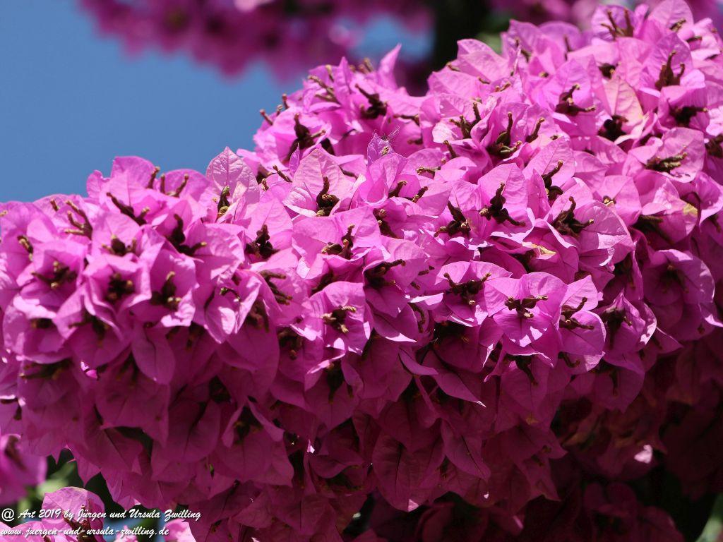 Alberobello in Apulien - Italien