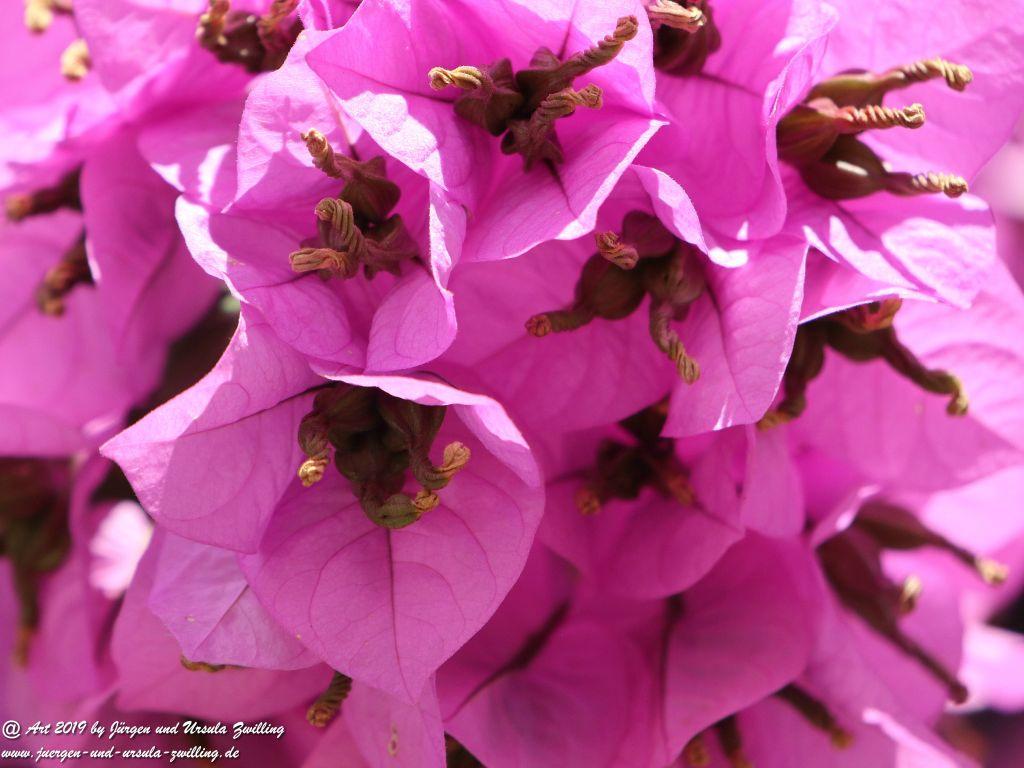 Alberobello in Apulien - Italien