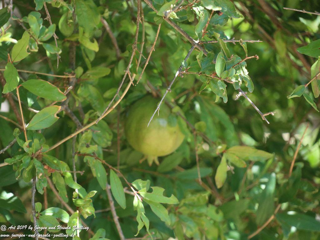 Castel del Monte in Apulien - Italien