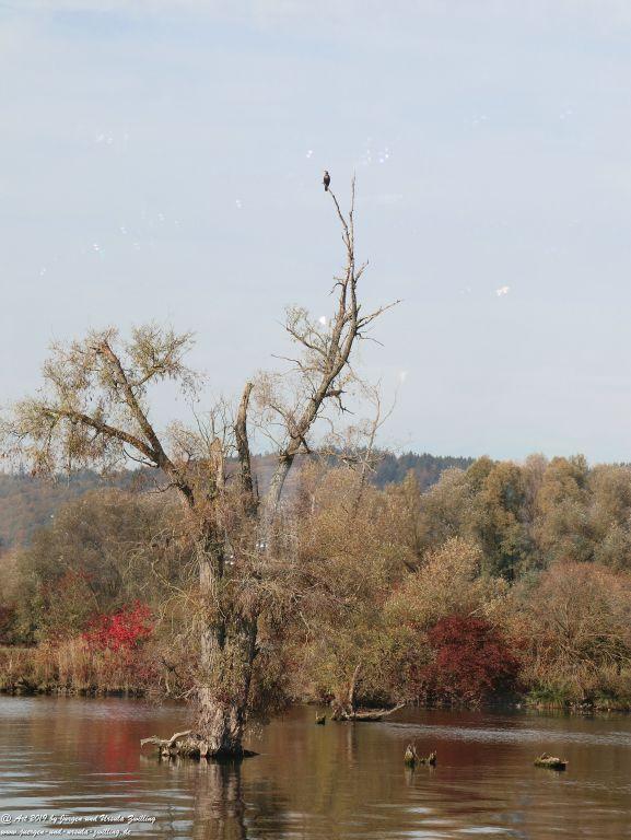 Regensburg - Bayern - Donau