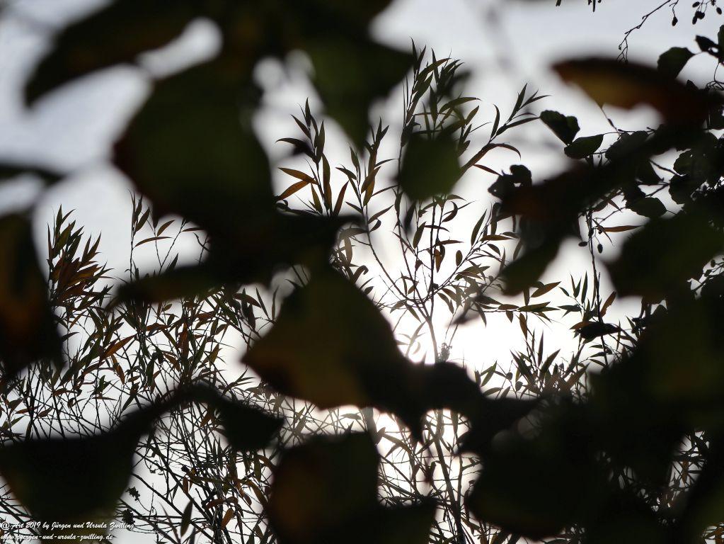 Regensburg - Bayern - Donau