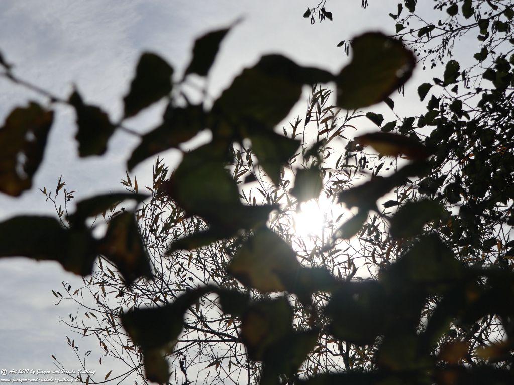 Regensburg - Bayern - Donau