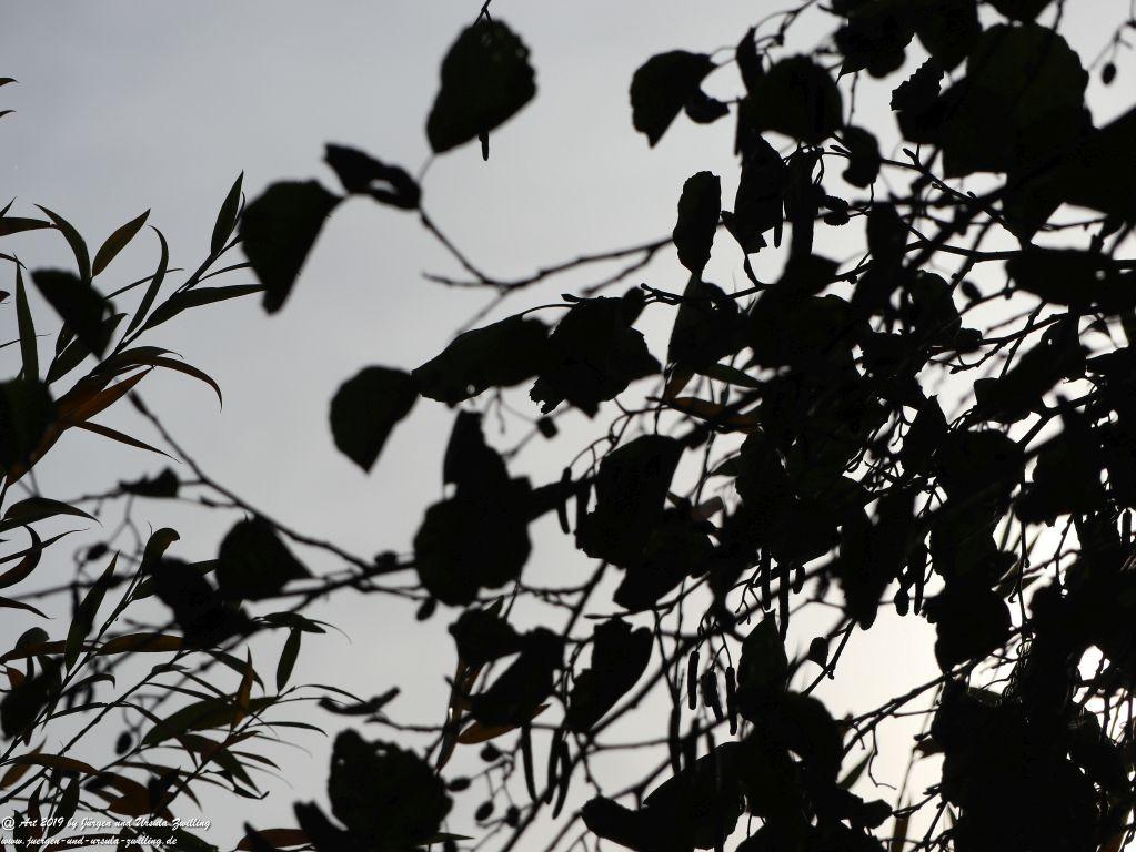 Regensburg - Bayern - Donau