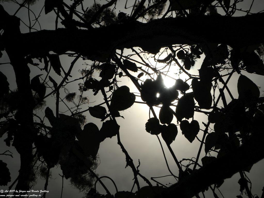 Regensburg - Bayern - Donau
