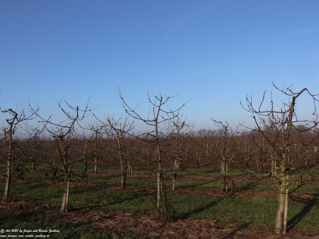 Felder Mainz Finthen und Ober Olmer Wald an Neujahr