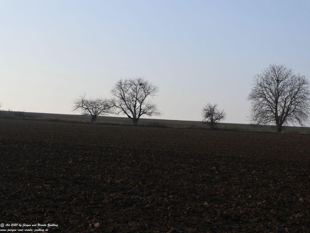 Felder Mainz Finthen und Ober Olmer Wald an Neujahr 