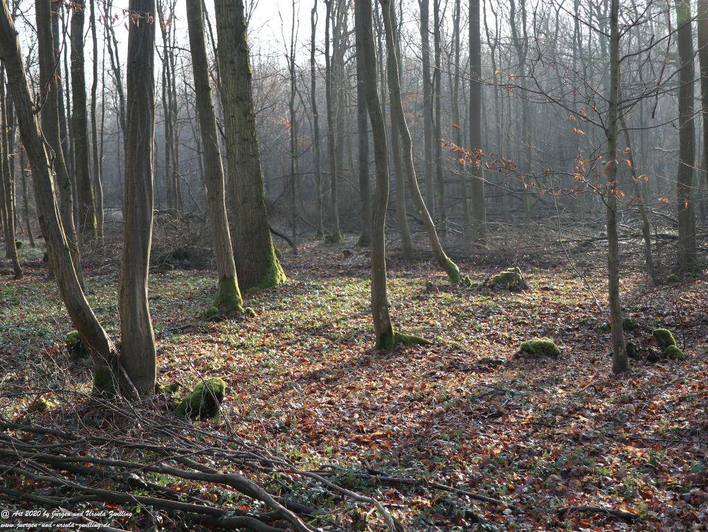 Felder Mainz Finthen und Ober Olmer Wald an Neujahr