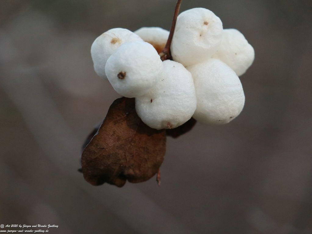 Felder Mainz Finthen und Ober Olmer Wald an Neujahr