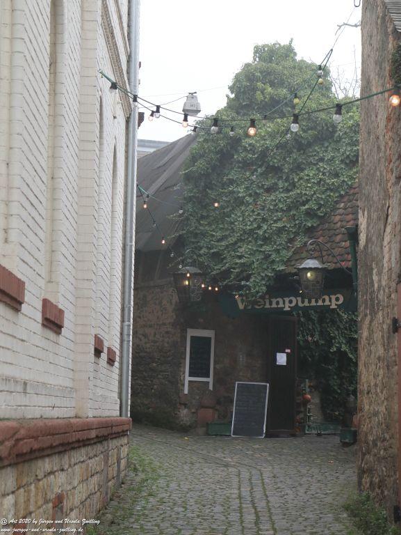 Philosophische Bildwanderung im  Nebel von Eltville am Rhein nach Hattenheim zurück nach Eltville