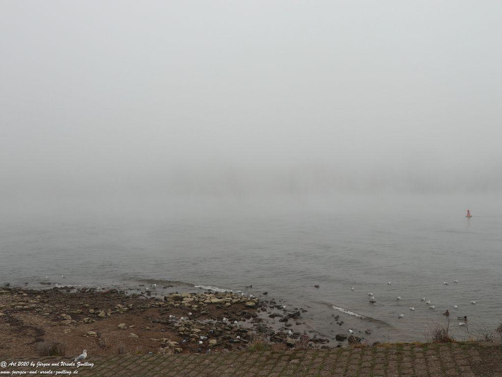 Philosophische Bildwanderung im Nebel von Eltville am Rhein nach Hattenheim zurück nach Eltville