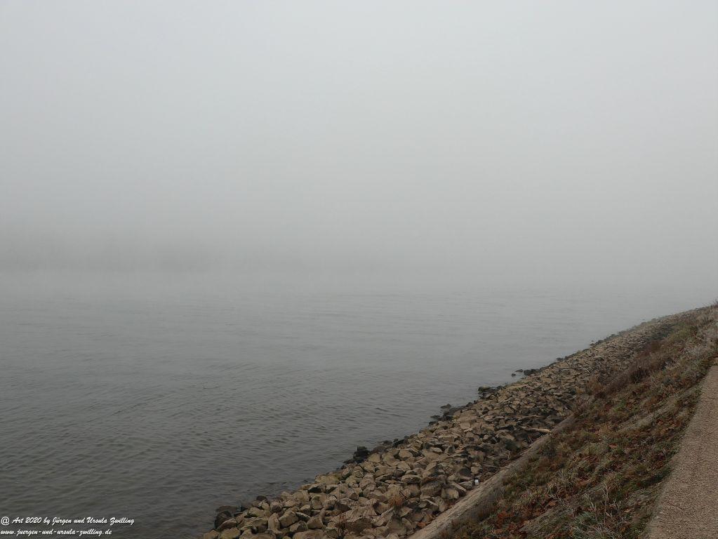Philosophische Bildwanderung im Nebel von Eltville am Rhein nach Hattenheim zurück nach Eltville