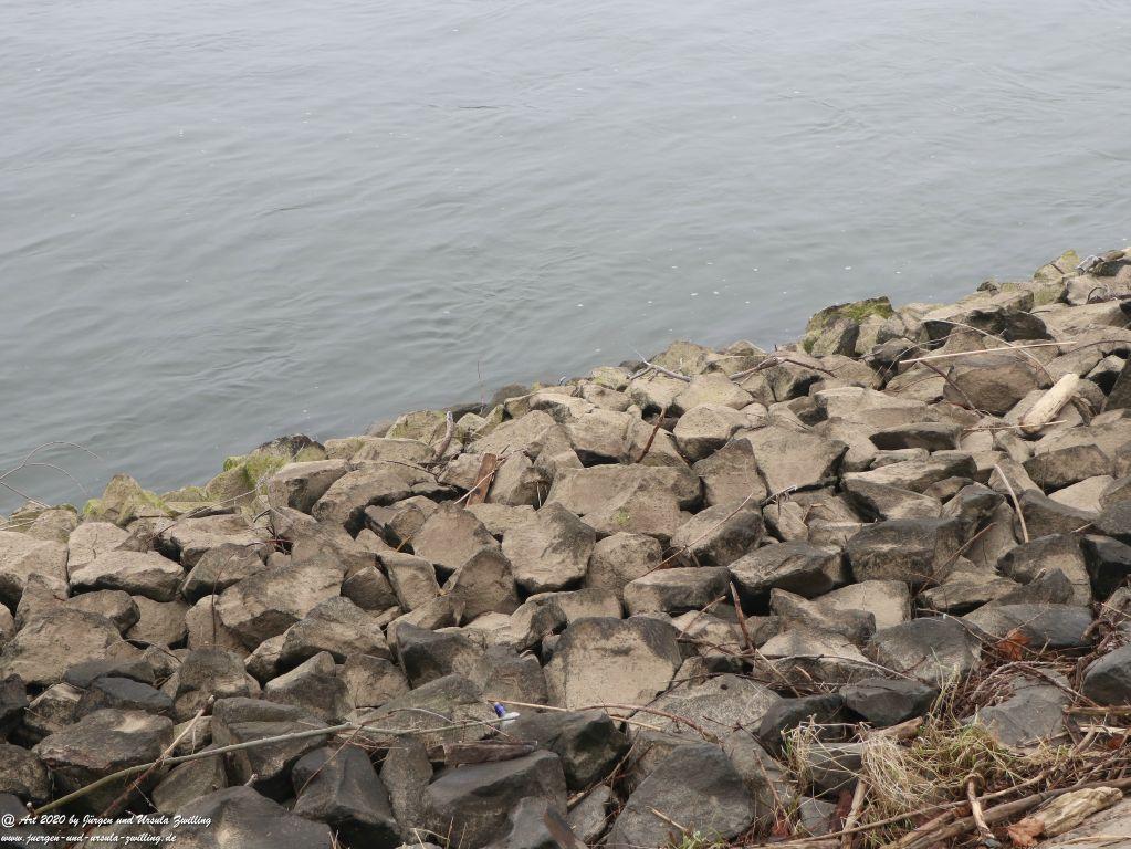 Philosophische Bildwanderung im  Nebel von Eltville am Rhein nach Hattenheim zurück nach Eltville