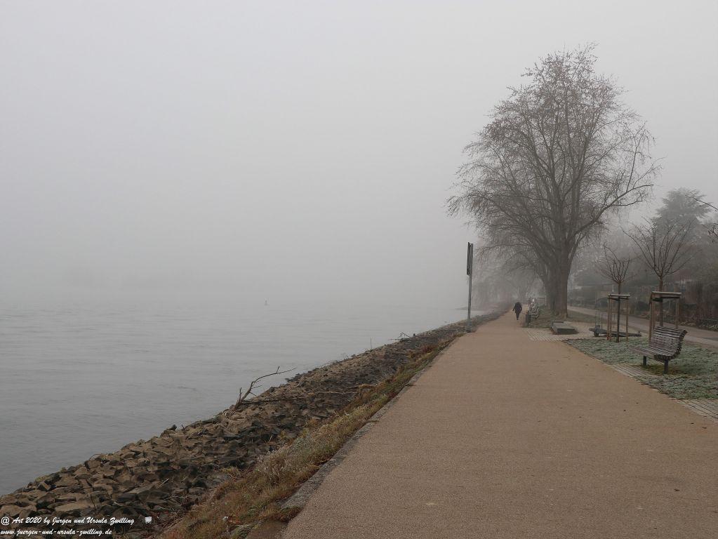 Philosophische Bildwanderung im Nebel von Eltville am Rhein nach Hattenheim zurück nach Eltville