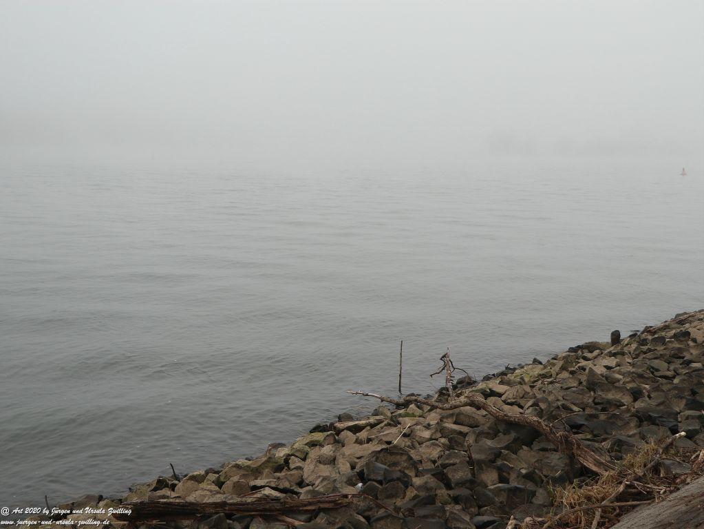 Philosophische Bildwanderung im Nebel von Eltville am Rhein nach Hattenheim zurück nach Eltville