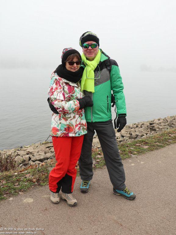 Philosophische Bildwanderung im Nebel von Eltville am Rhein nach Hattenheim zurück nach Eltville