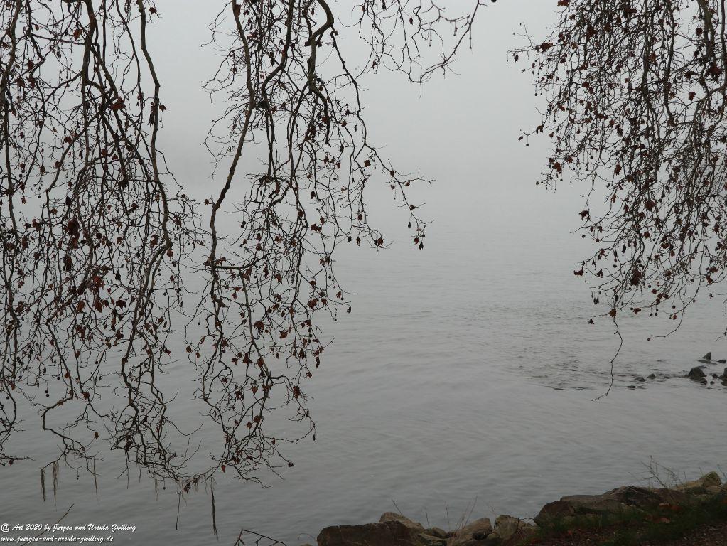 Philosophische Bildwanderung im  Nebel von Eltville am Rhein nach Hattenheim zurück nach Eltville