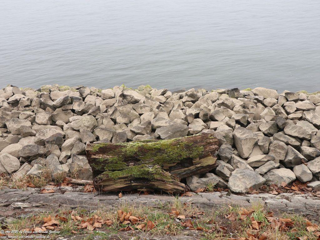 Philosophische Bildwanderung im  Nebel von Eltville am Rhein nach Hattenheim zurück nach Eltville