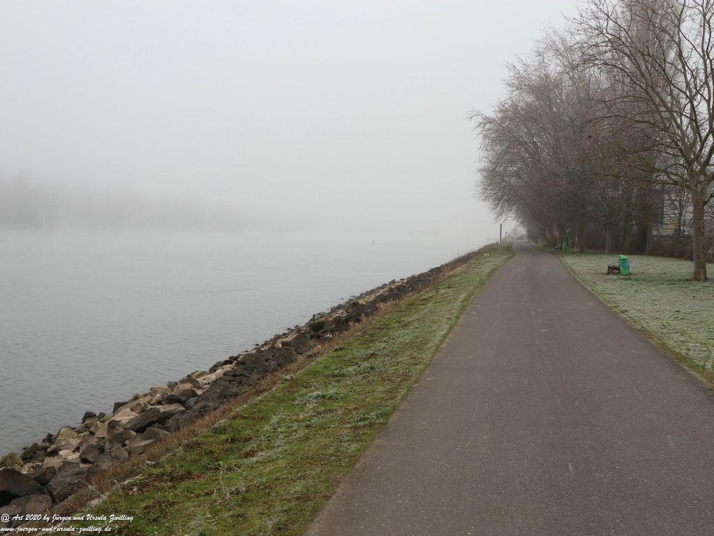 Philosophische Bildwanderung im  Nebel von Eltville am Rhein nach Hattenheim zurück nach Eltville