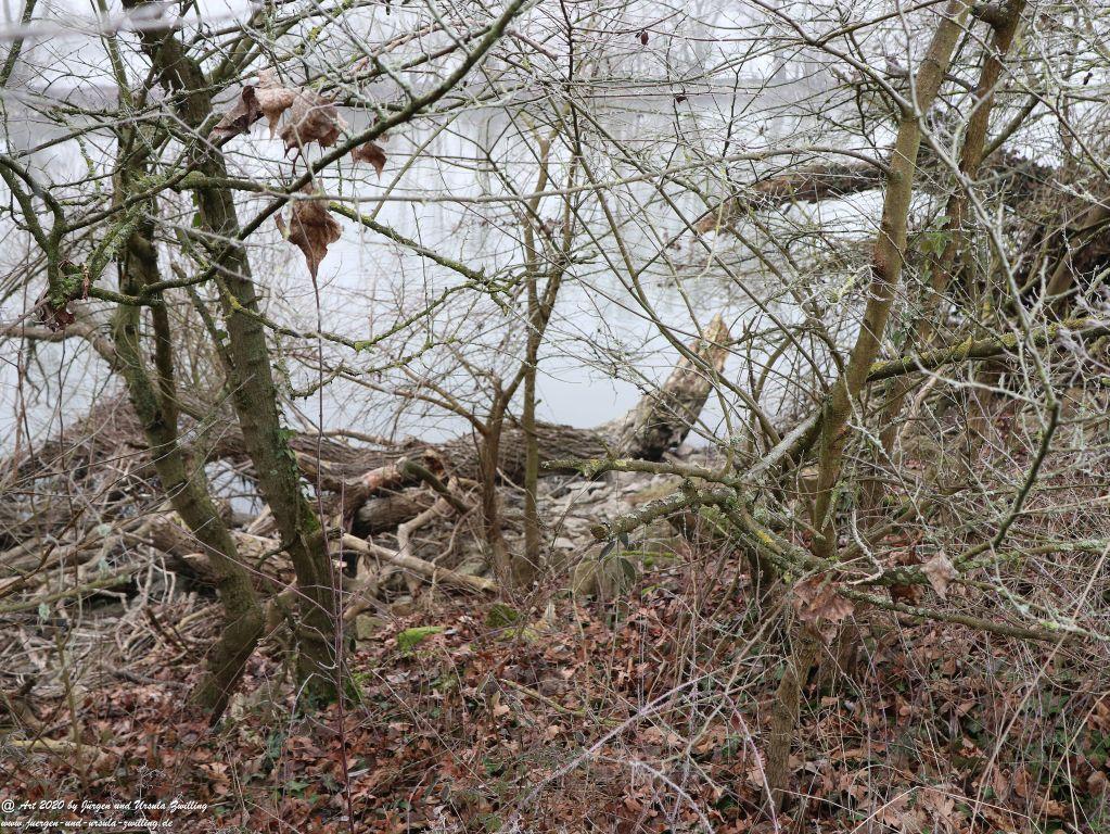 Philosophische Bildwanderung im  Nebel von Eltville am Rhein nach Hattenheim zurück nach Eltville