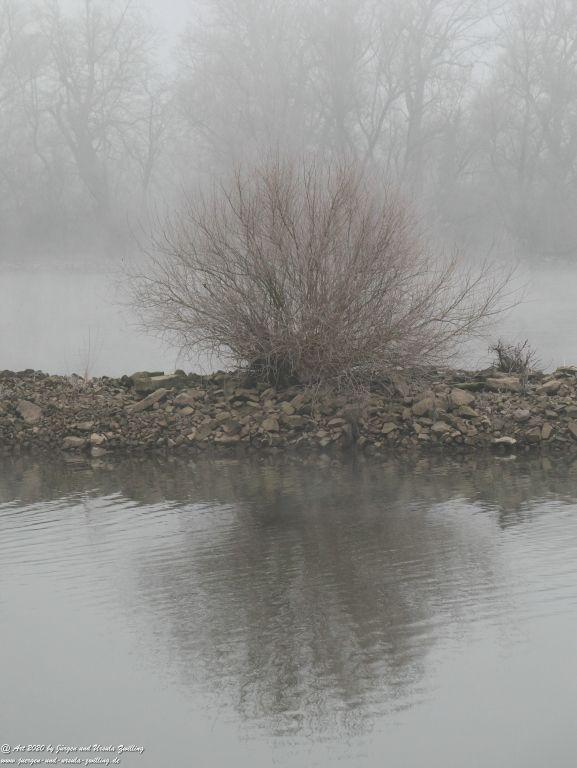 Philosophische Bildwanderung im Nebel von Eltville am Rhein nach Hattenheim zurück nach Eltville