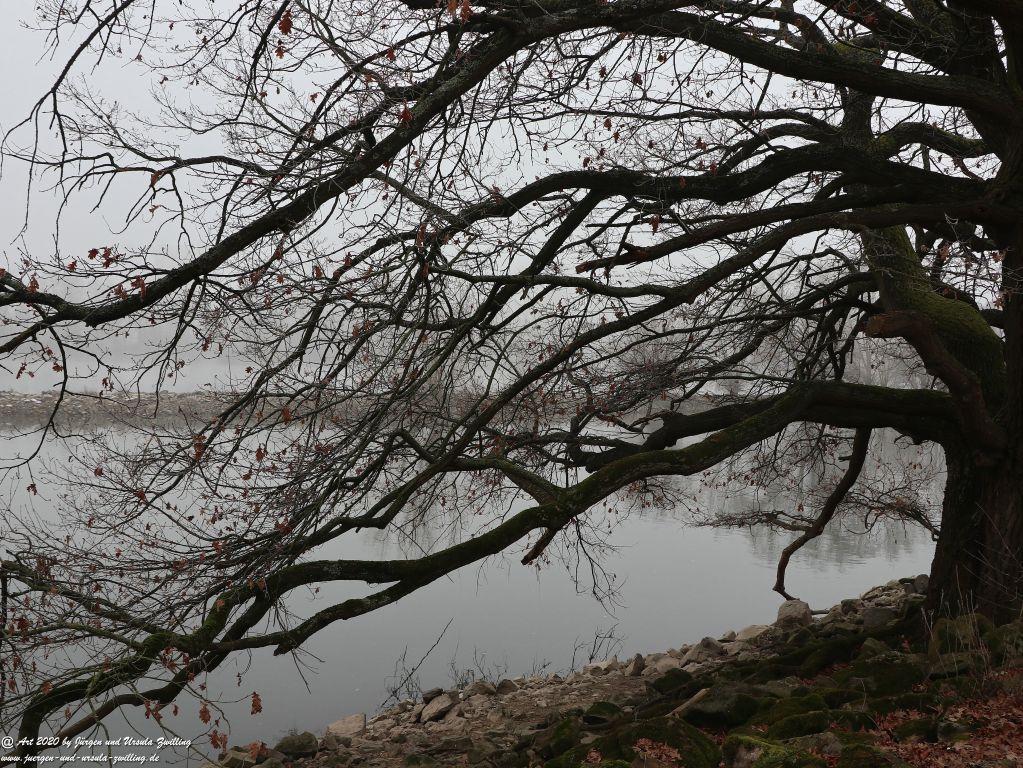 Philosophische Bildwanderung im Nebel von Eltville am Rhein nach Hattenheim zurück nach Eltville
