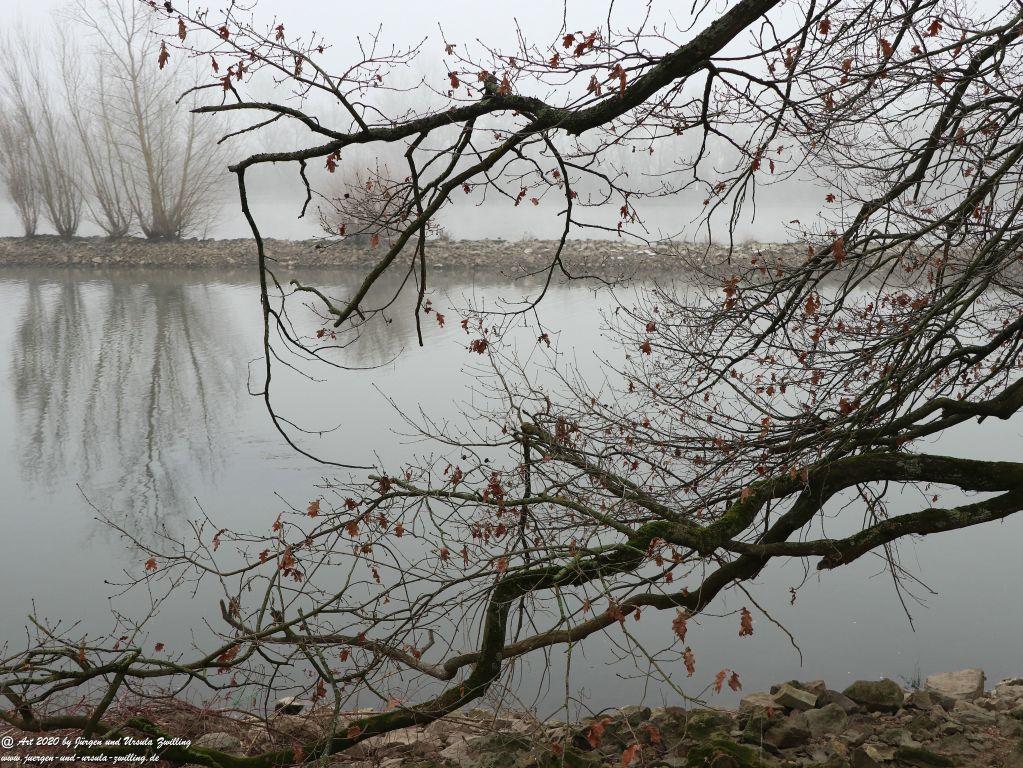 Philosophische Bildwanderung im Nebel von Eltville am Rhein nach Hattenheim zurück nach Eltville