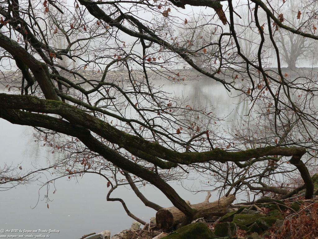 Philosophische Bildwanderung im Nebel von Eltville am Rhein nach Hattenheim zurück nach Eltville
