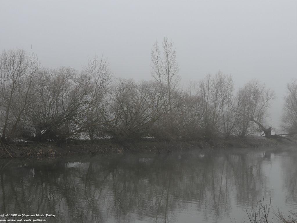 Philosophische Bildwanderung im Nebel von Eltville am Rhein nach Hattenheim zurück nach Eltville