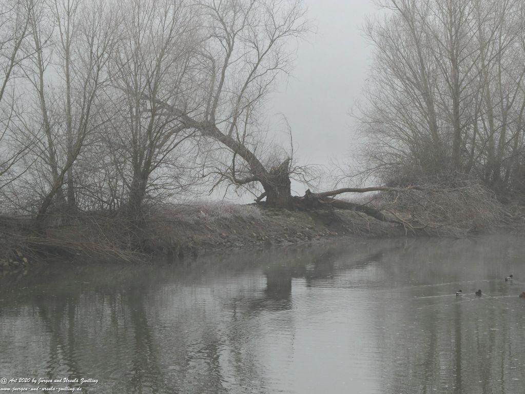 Philosophische Bildwanderung im Nebel von Eltville am Rhein nach Hattenheim zurück nach Eltville