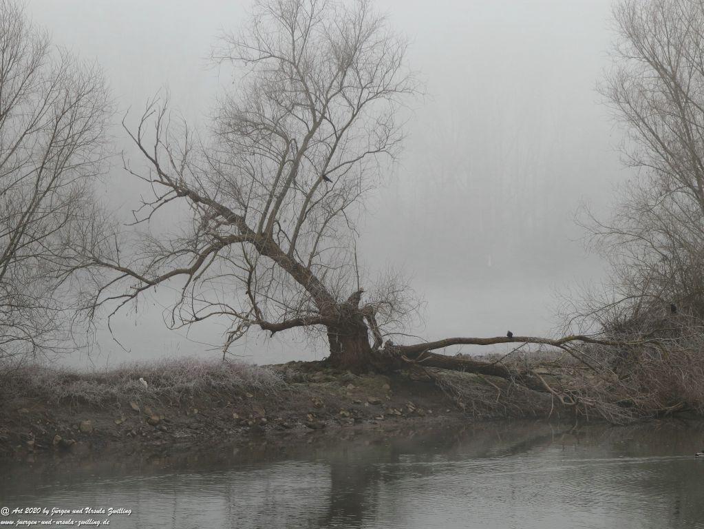 Philosophische Bildwanderung im Nebel von Eltville am Rhein nach Hattenheim zurück nach Eltville