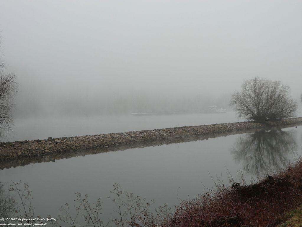Philosophische Bildwanderung im Nebel von Eltville am Rhein nach Hattenheim zurück nach Eltville