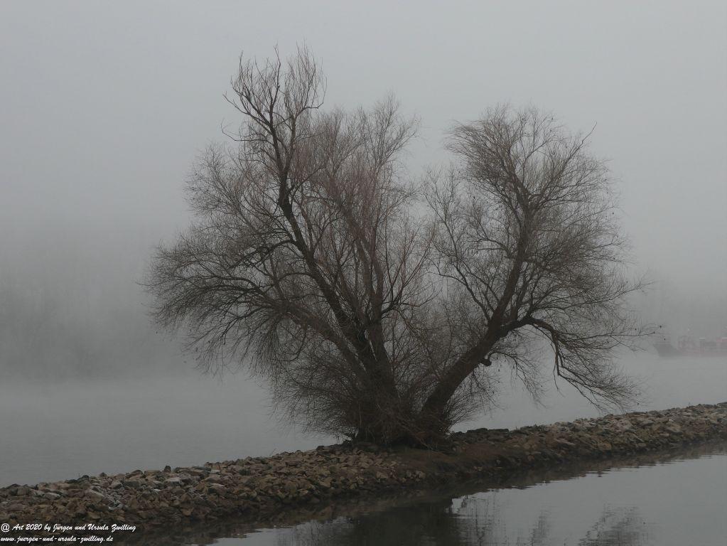 Philosophische Bildwanderung im Nebel von Eltville am Rhein nach Hattenheim zurück nach Eltville