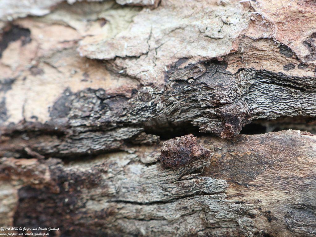 Philosophische Bildwanderung im Nebel von Eltville am Rhein nach Hattenheim zurück nach Eltville