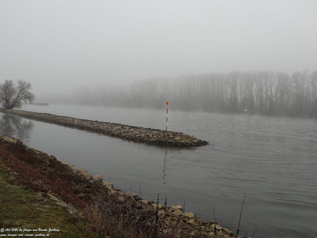 Philosophische Bildwanderung im Nebel von Eltville am Rhein nach Hattenheim zurück nach Eltville