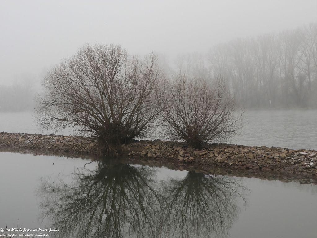 Philosophische Bildwanderung im Nebel von Eltville am Rhein nach Hattenheim zurück nach Eltville