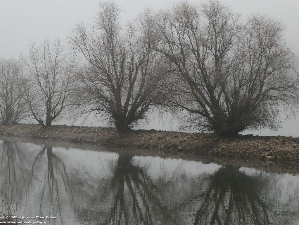 Philosophische Bildwanderung im Nebel von Eltville am Rhein nach Hattenheim zurück nach Eltville
