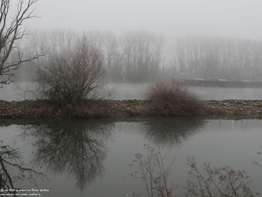 Philosophische Bildwanderung im Nebel von Eltville am Rhein nach Hattenheim zurück nach Eltville