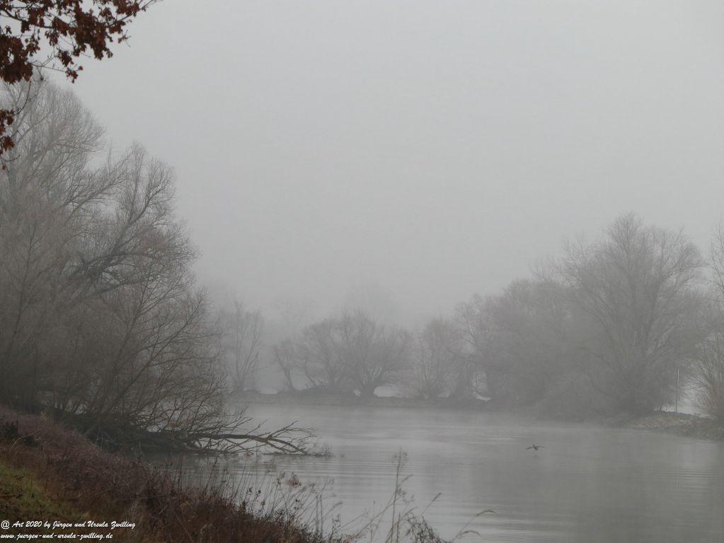 Philosophische Bildwanderung im Nebel von Eltville am Rhein nach Hattenheim zurück nach Eltville