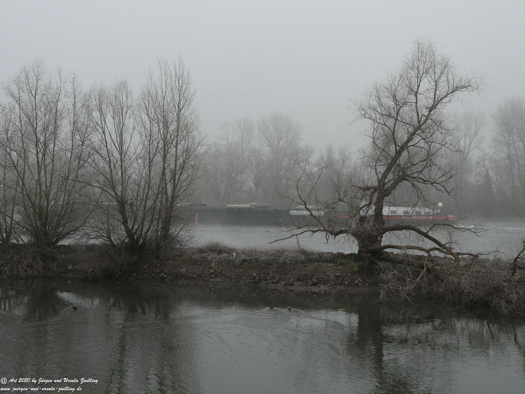 Philosophische Bildwanderung im Nebel von Eltville am Rhein nach Hattenheim zurück nach Eltville