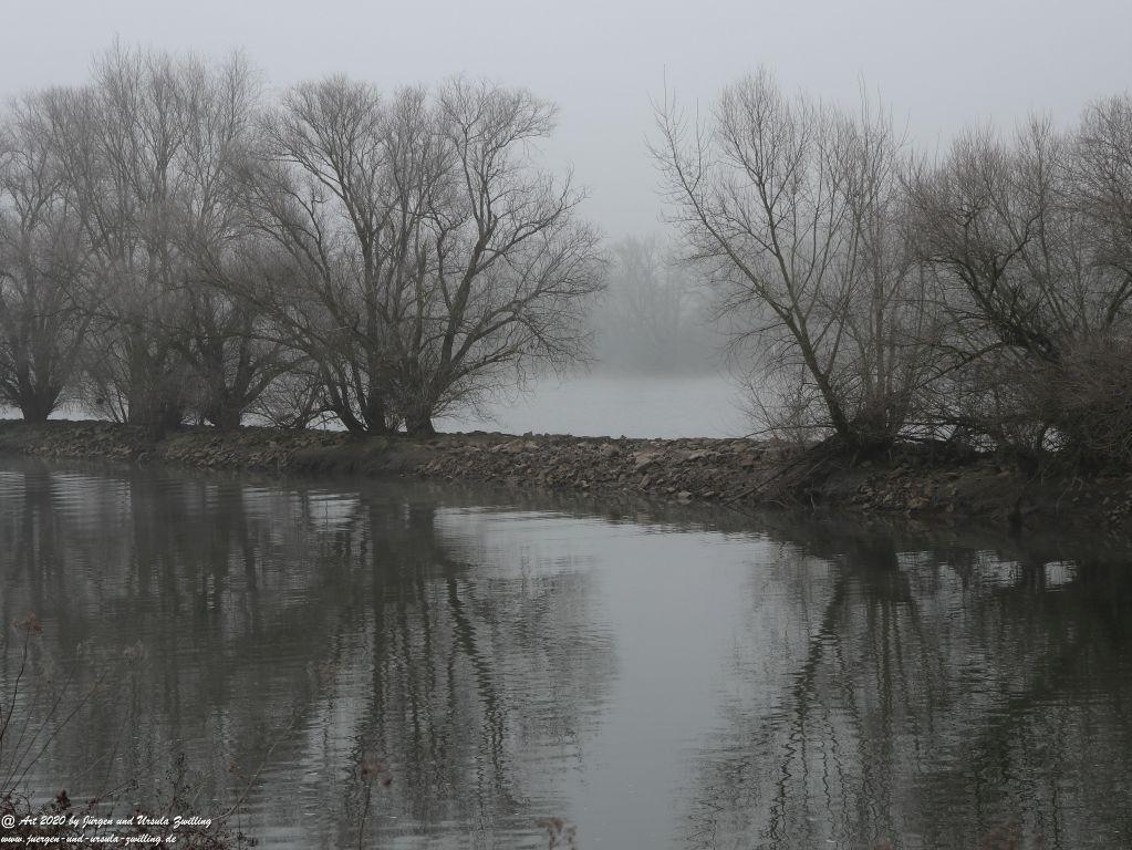 Philosophische Bildwanderung im Nebel von Eltville am Rhein nach Hattenheim zurück nach Eltville