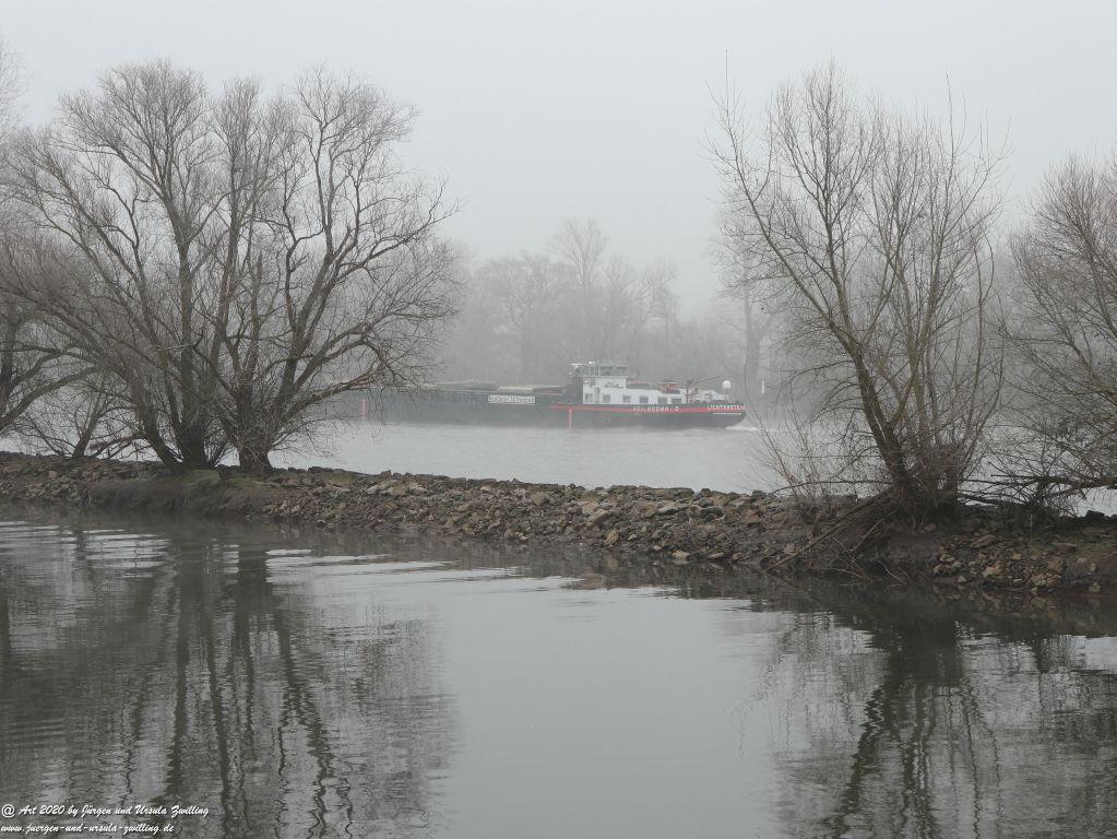 Philosophische Bildwanderung im Nebel von Eltville am Rhein nach Hattenheim zurück nach Eltville